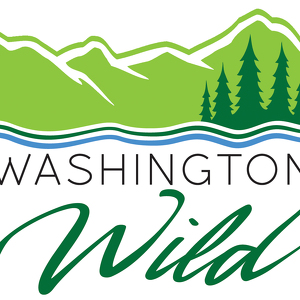 Team Page: Washington Wild